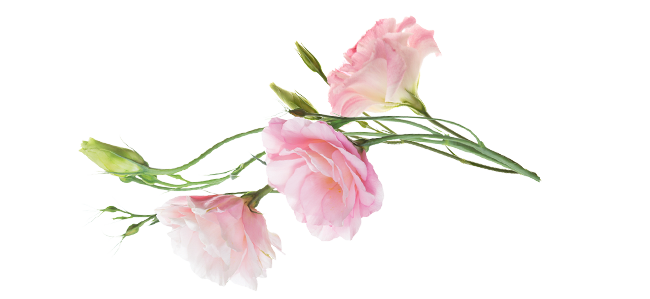 Hydra Glow Face Serum 